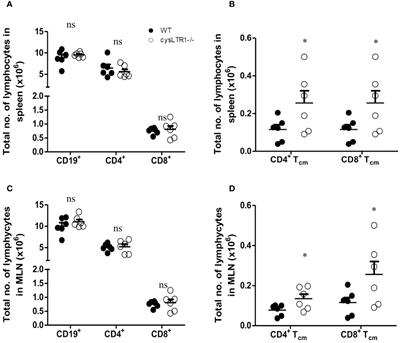 Cysteinyl leukotriene receptor-1 as a potential target for host-directed therapy during chronic schistosomiasis in murine model